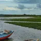Bundala National Park, Hambantota — Sri Lanka