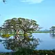 Tissa Wewa (Tissa Lake), Tissamaharama — Sri Lanka