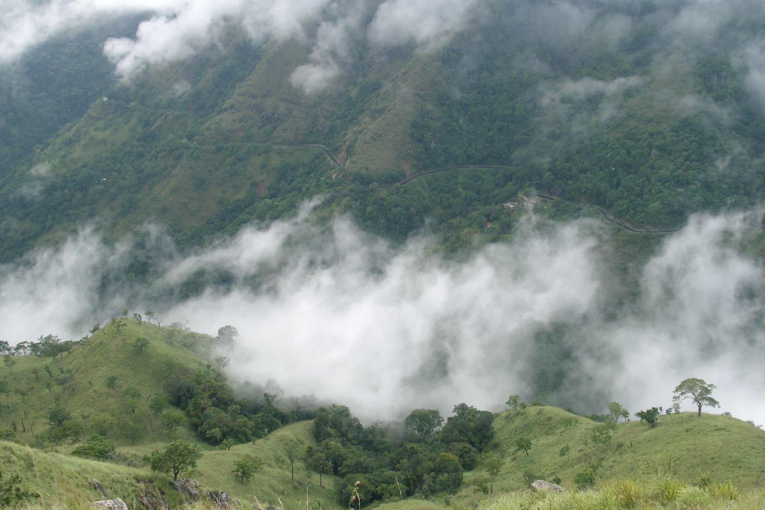 Misty valley and cloud forest in Sri Lanka's hill country