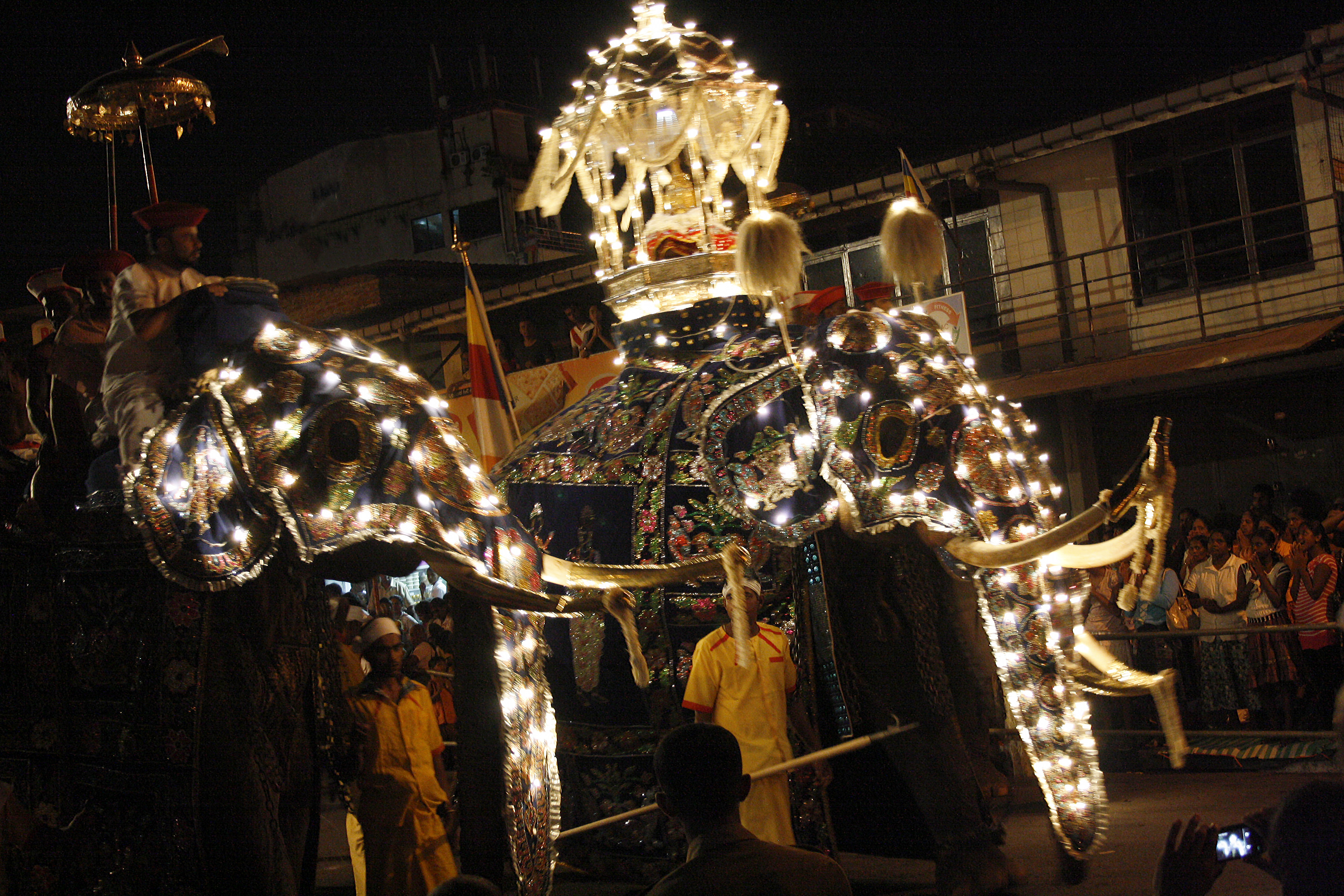 Decorated elephants at the Kandy Esala Perahera festival, Sri Lanka