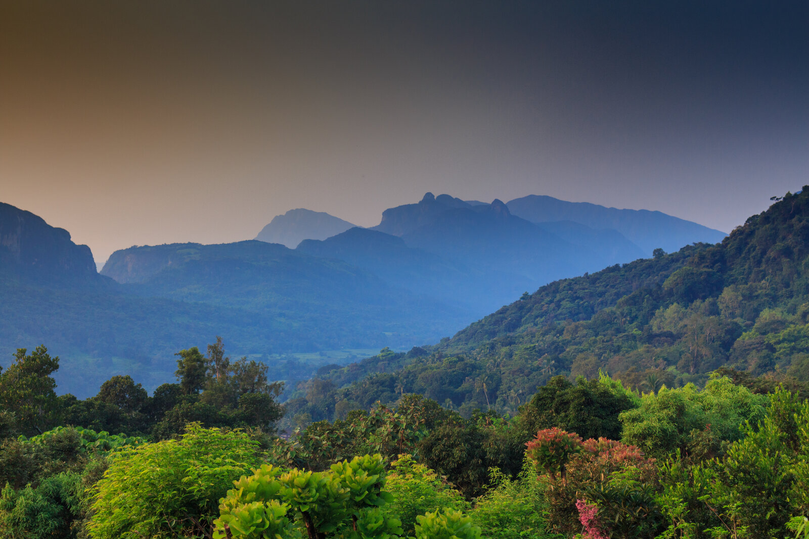 Morning view of the Knuckles Mountain Range in Sri Lanka, with mist rolling across green peaks