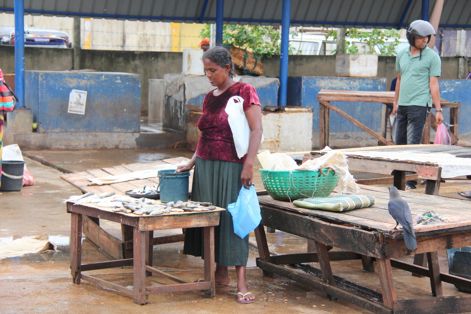 A vendor at Negombo fish market with the morning catch spread out before her