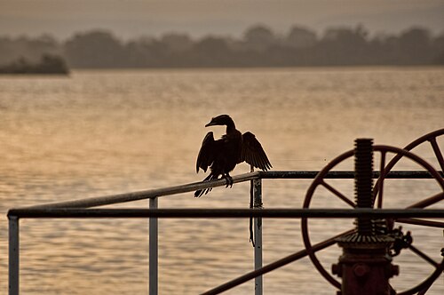 Parakrama Samudra lake at sunset near Polonnaruwa