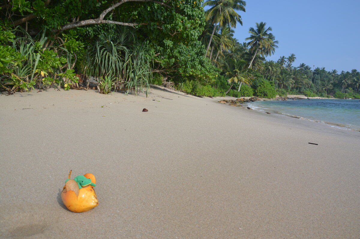 Tangalle beach scenery — wide sandy shore with calm turquoise water along Sri Lanka's south coast