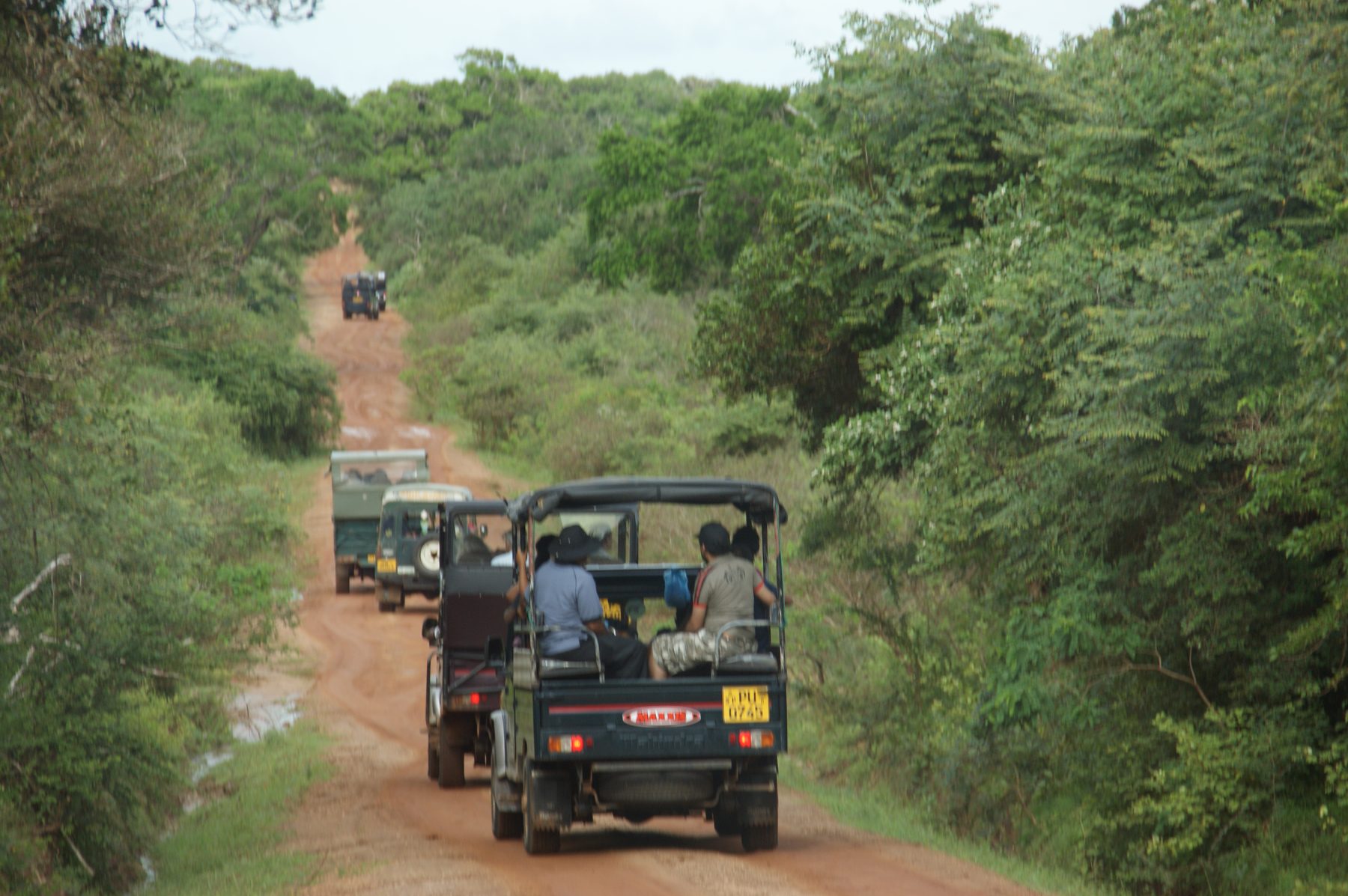 A jeep safari threading through Yala country — the open blocks keep running drives through the October window